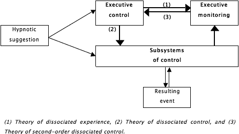 Functional units of the human mind diagram.